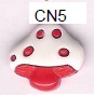 CN5 Stock Pic.jpg